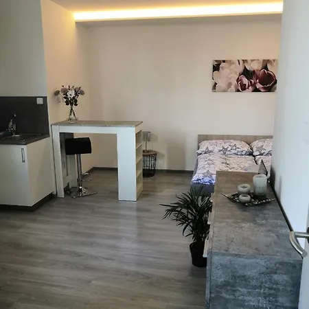 Apartment Apartman Brno